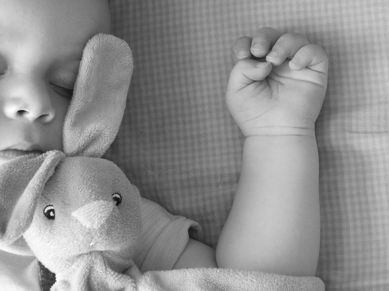 A Roadmap to Safety: Understanding Human Behavior